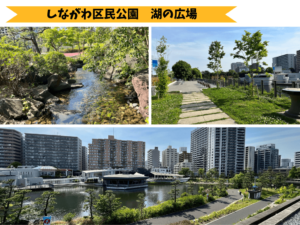 しながわ区民公園　湖の広場